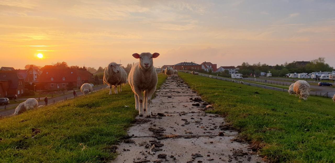 Ferienhaus Kuestenkind - Top Lage - Garten Eingezaeunt Butjadingen Exterior foto